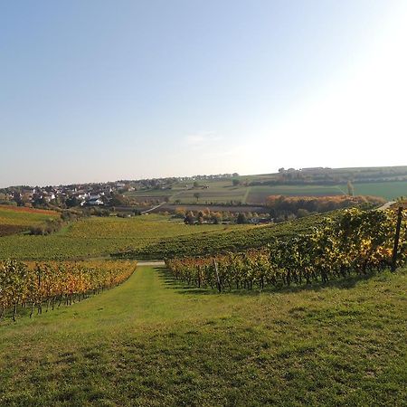 Hotel Weingut Seck Dolgesheim Exterior foto