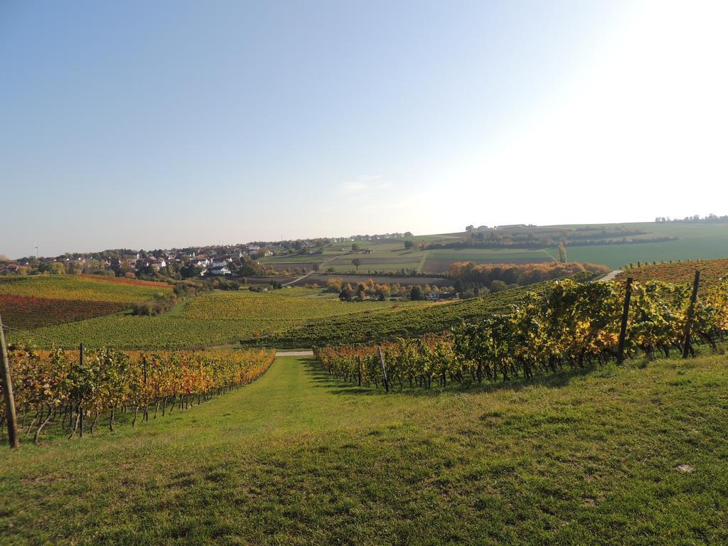 Hotel Weingut Seck Dolgesheim Exterior foto