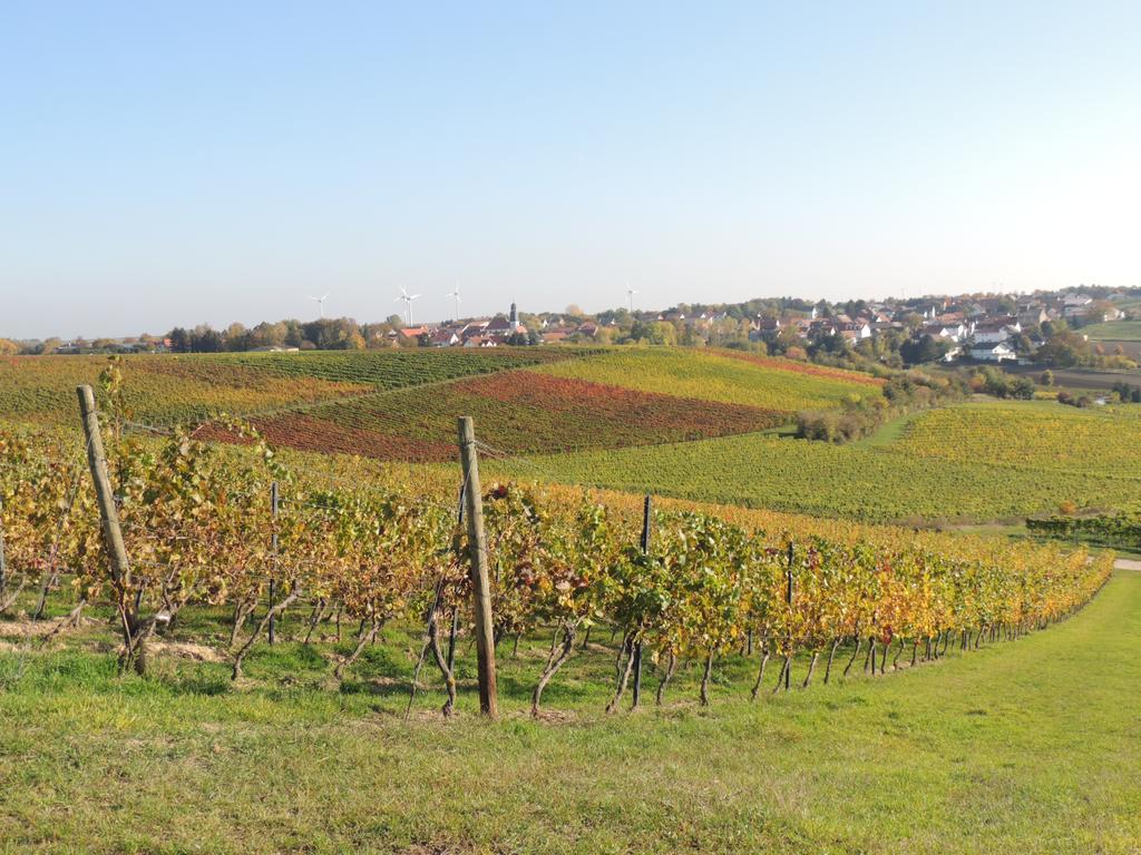 Hotel Weingut Seck Dolgesheim Exterior foto
